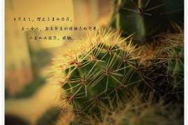 因为家人分手的怎么挽回：重建信任与沟通的桥梁